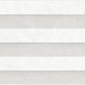 Autumn 0204 - plisy cosimo